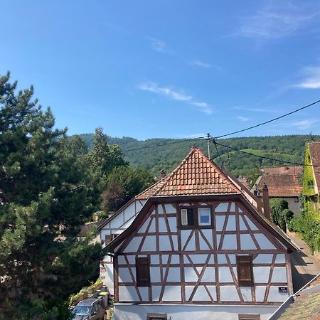 La Bonneterie Hotel Andlau-au-Val Kültér fotó