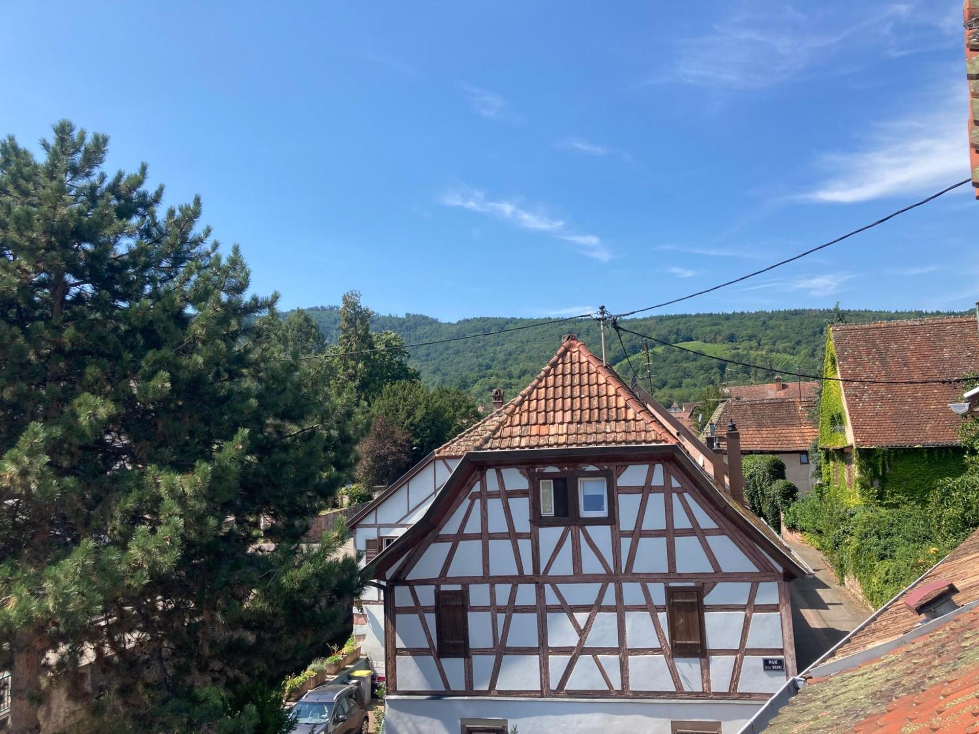 La Bonneterie Hotel Andlau-au-Val Kültér fotó